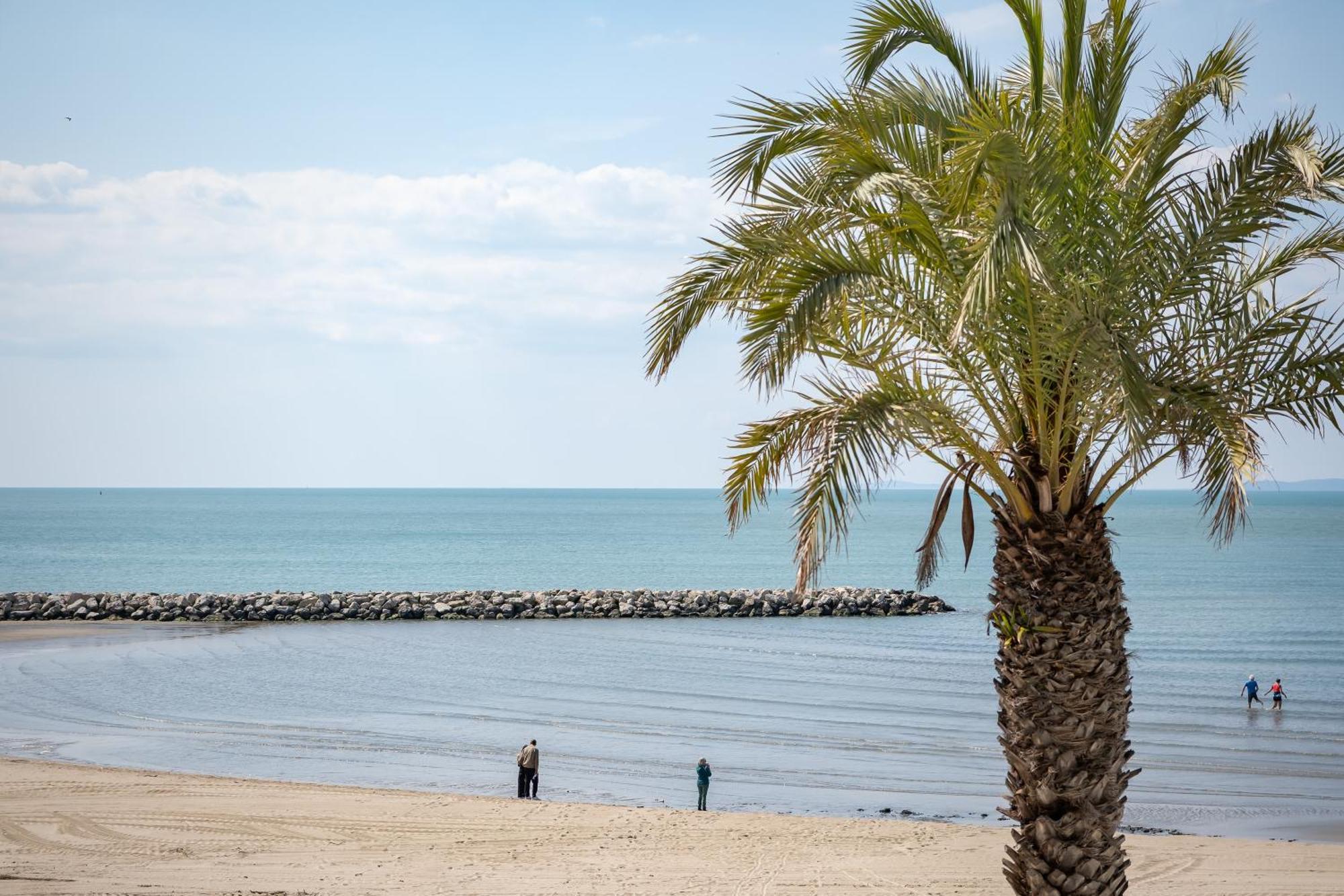 La Perle Du Grau : T1 Avec Exceptionnelle Vue Mer Le Grau-du-Roi Bagian luar foto